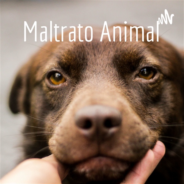 Artwork for Maltrato Animal