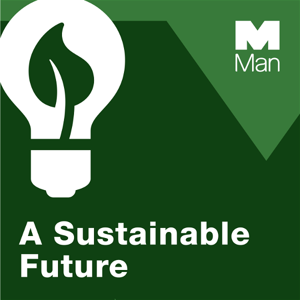 Artwork for A Sustainable Future