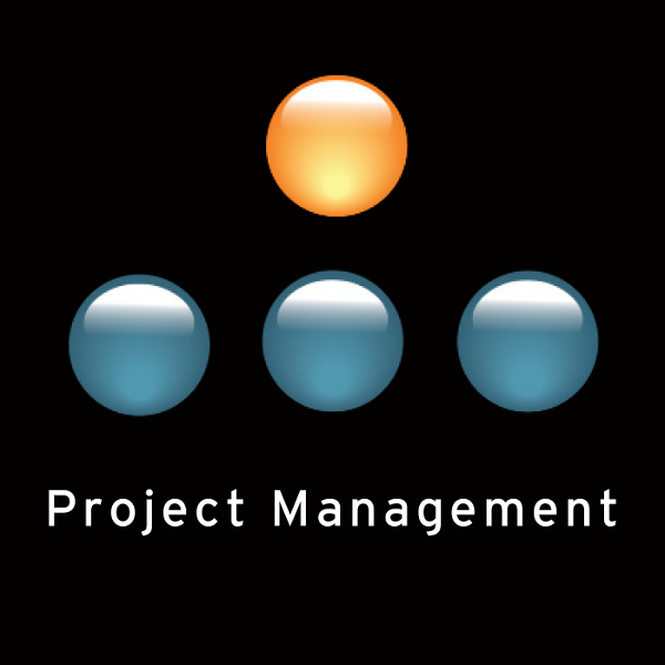 Artwork for Manager Tools