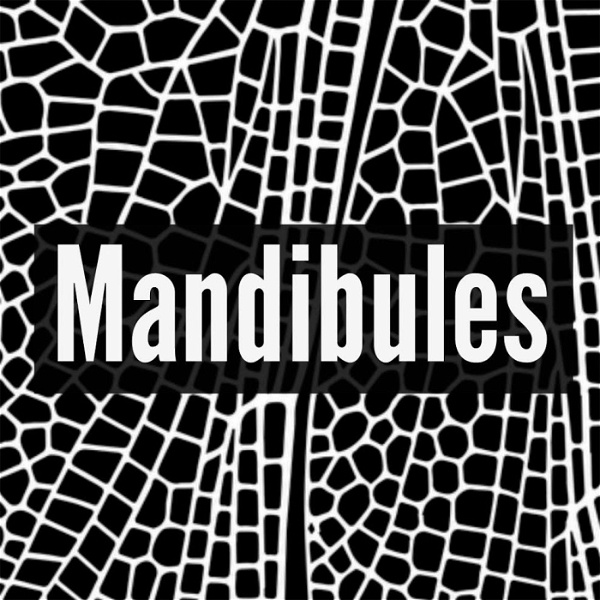 Artwork for Mandibules