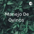 Manejo De Ovinos