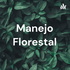 Manejo Florestal