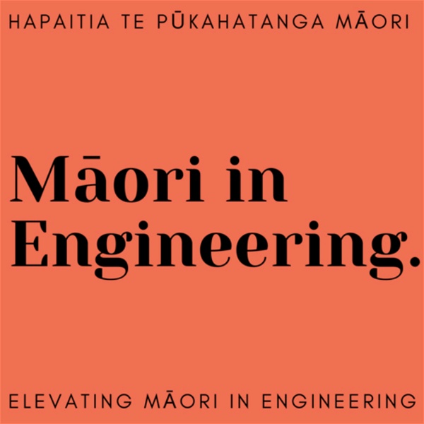 Artwork for Māori in Engineering