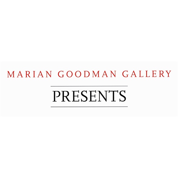 Artwork for Marian Goodman Gallery