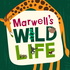 Marwell's Wild Life