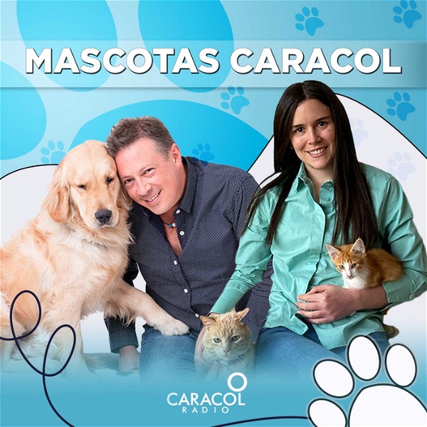 Artwork for Mascotas Caracol