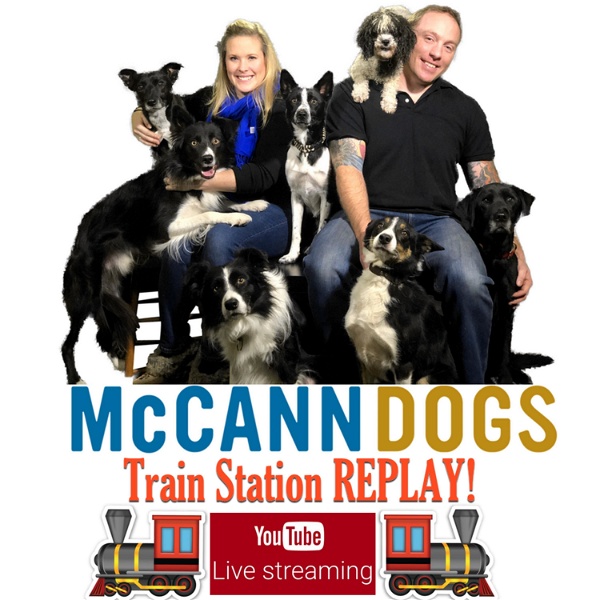 Artwork for McCann Dog Training