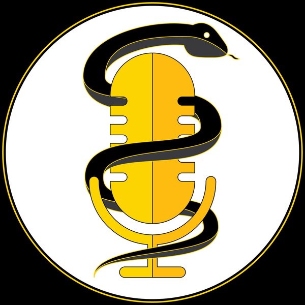 Artwork for Medaholic