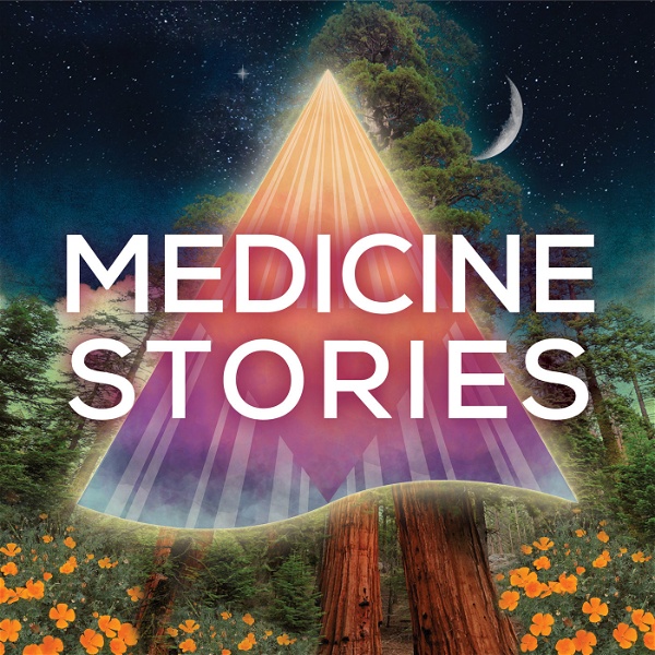 Artwork for Medicine Stories