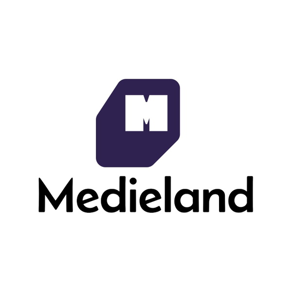 Artwork for Medieland