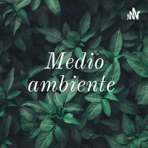 Artwork for Medio ambiente