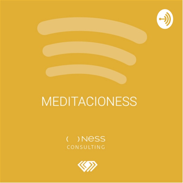 Artwork for MeditacioNESS
