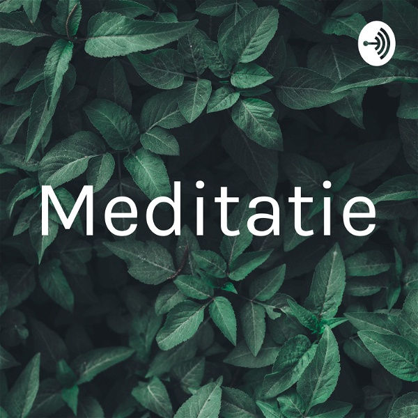 Artwork for Meditatie