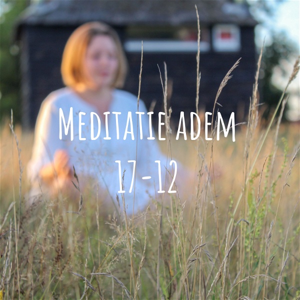 Artwork for Meditatie adem 17-12