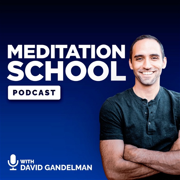 Artwork for Meditation School Podcast