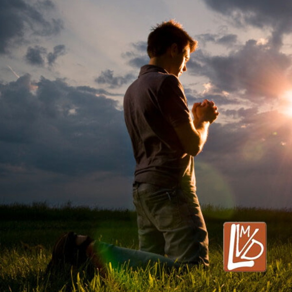 Artwork for Meditations by Fr John Flader