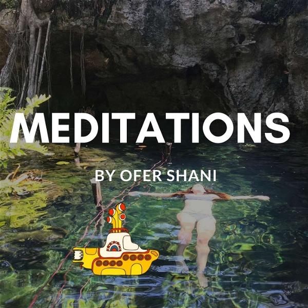 Artwork for Meditations by Ofer Shani