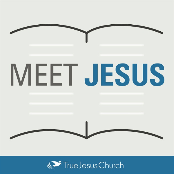 Artwork for Meet Jesus