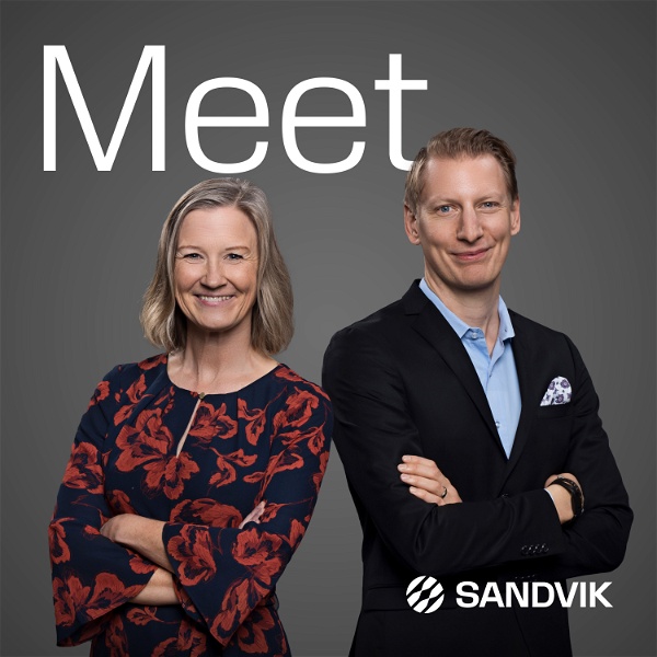 Artwork for Meet Sandvik