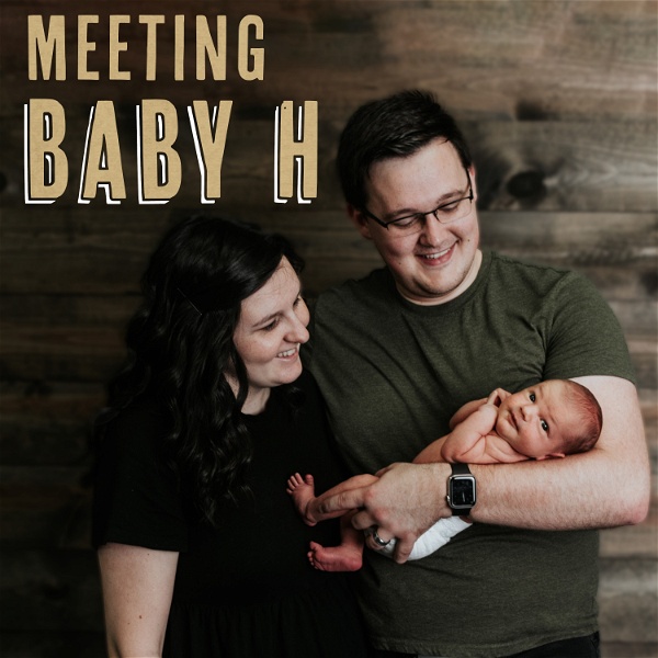 Artwork for Meeting Baby H