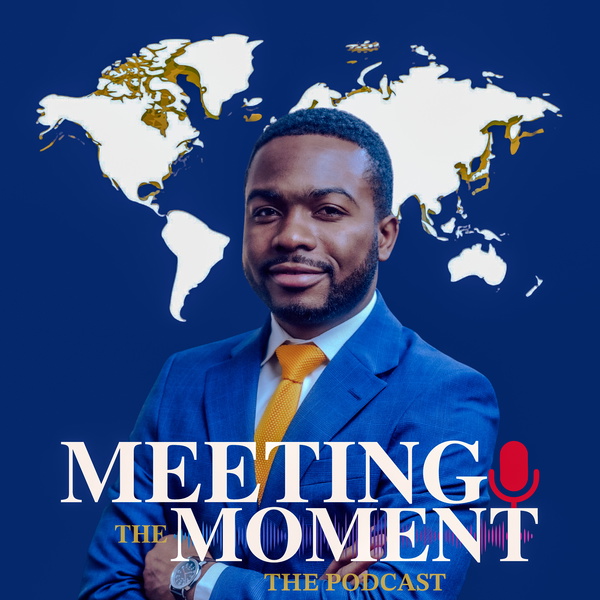 Artwork for Meeting the Moment_The Podcast