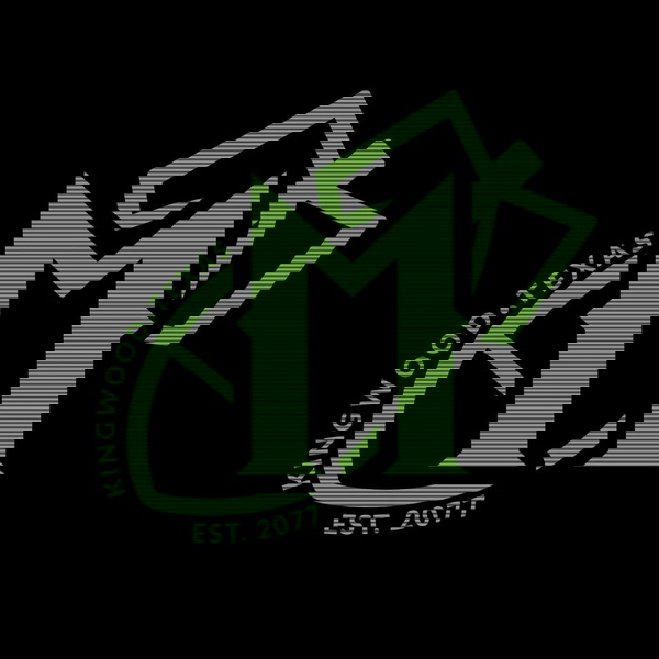 Artwork for Megaton News Radio