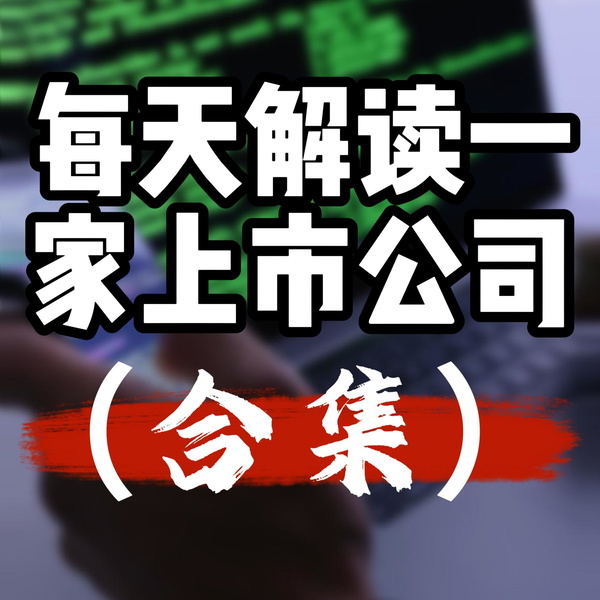 Artwork for 每天解读一家上市公司（视频合集）