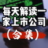 每天解读一家上市公司（视频合集）