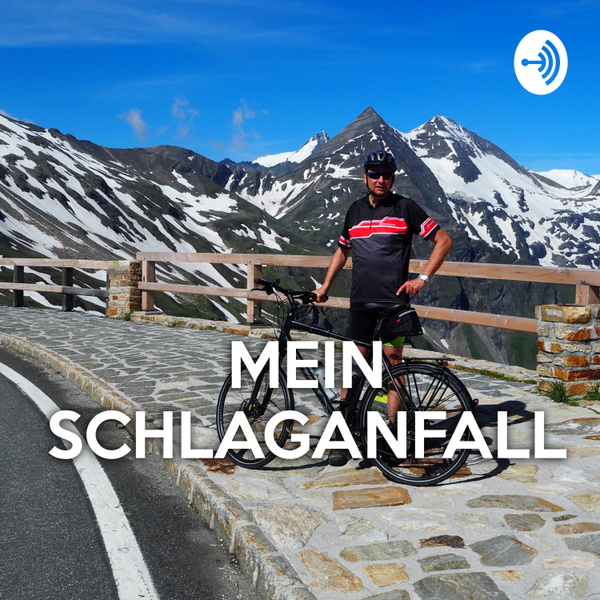 Artwork for MeinSchlaganfall