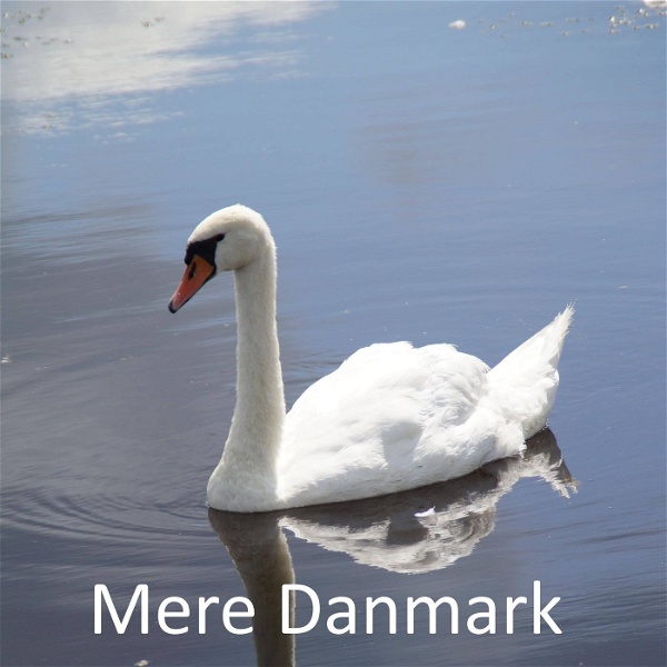 Artwork for Mere Danmark
