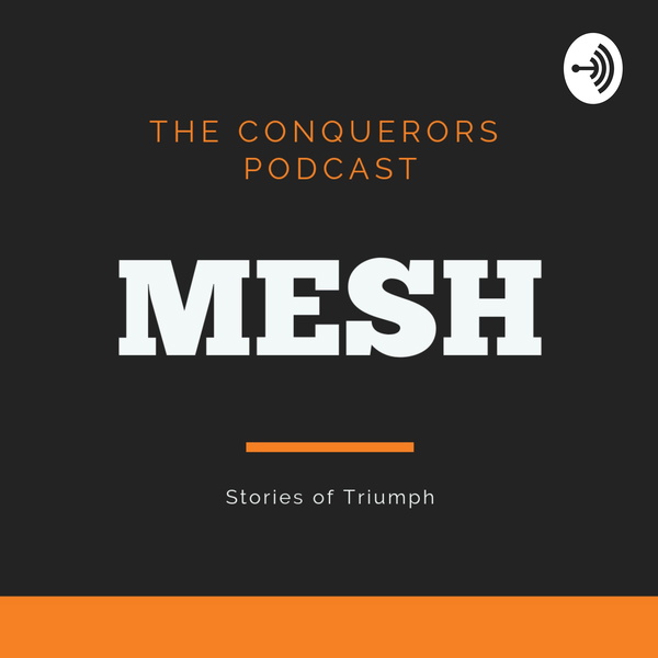 Artwork for Mesh Cowork