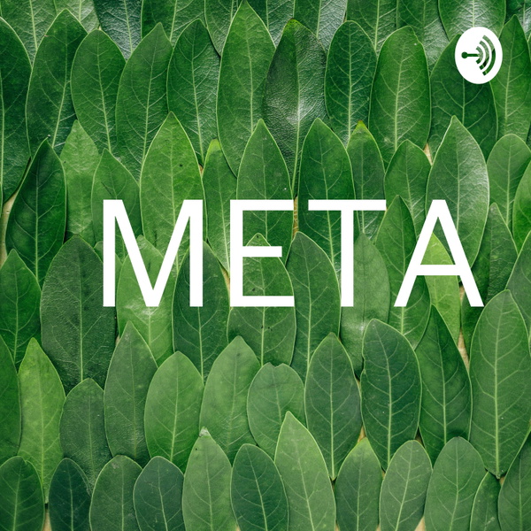 Artwork for META