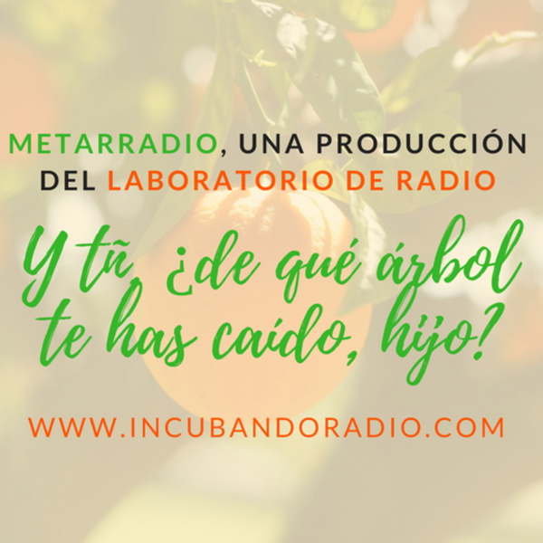 Artwork for Metarradio