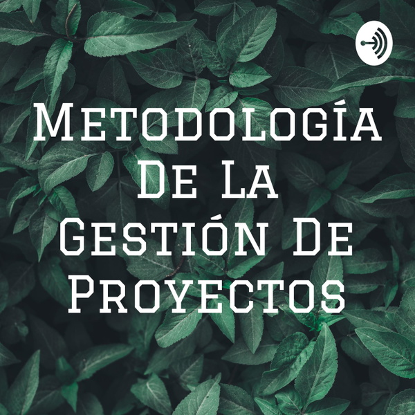 Artwork for Metodología De La Gestión De Proyectos