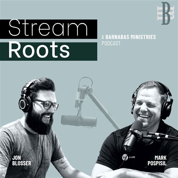 Artwork for Stream Roots Podcast