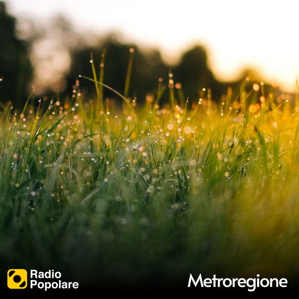 Artwork for Metroregione