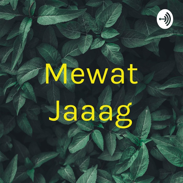 Artwork for Mewat Jaaag
