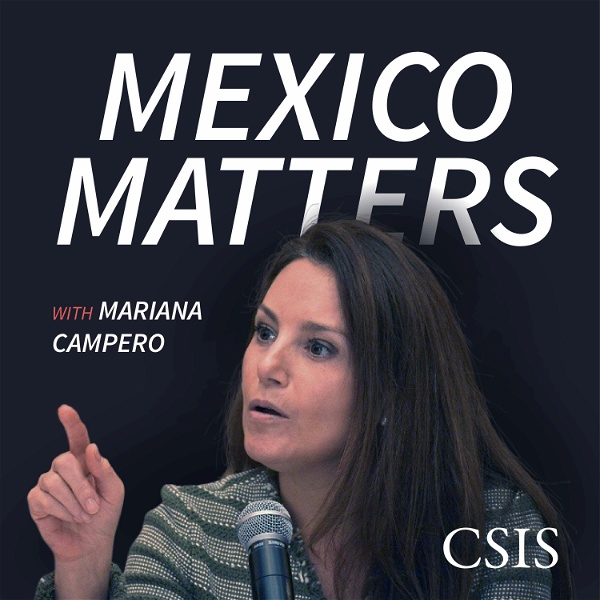 Artwork for Mexico Matters