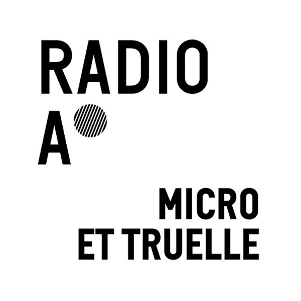 Artwork for Micro et truelle, la chronique des archéologues de la Ville de Lyon