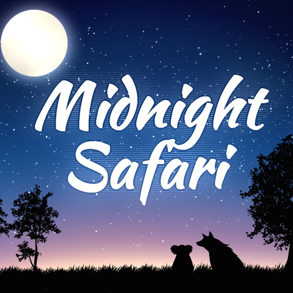 Artwork for Midnight Safari