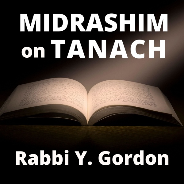 Artwork for Midrashim on Tanach