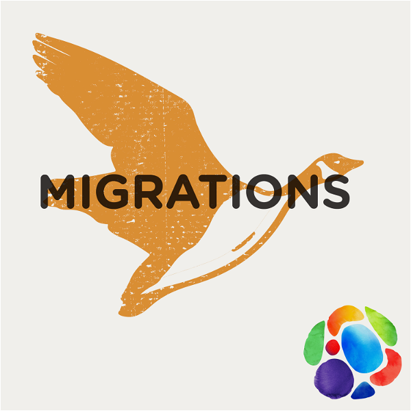 Artwork for Migrations d'oiseaux
