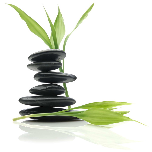 Artwork for Mindfulness for Health Meditations