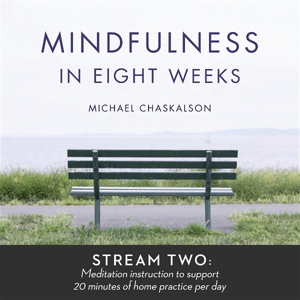 Artwork for Mindfulness in 8 Weeks: 20 Minutes a Day Program