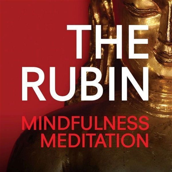 Artwork for Mindfulness Meditation Podcast