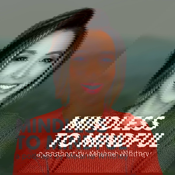 Artwork for Mindless to Mindful