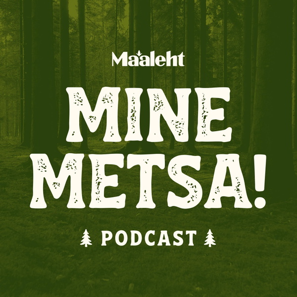 Artwork for Mine metsa!