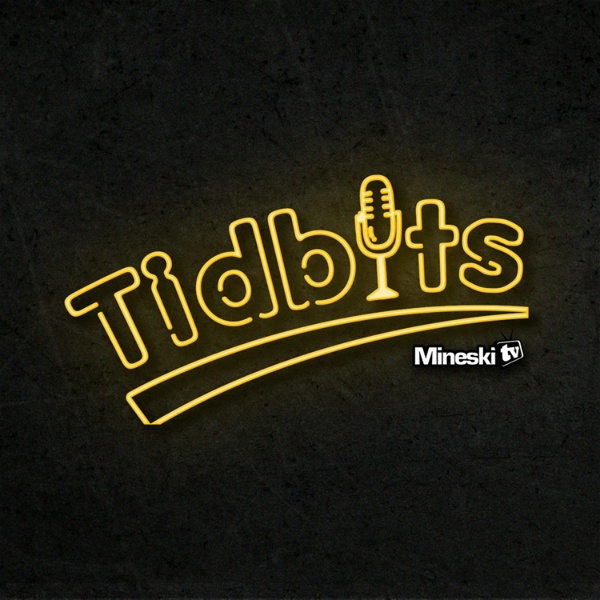 Artwork for MineskiTV Tidbits