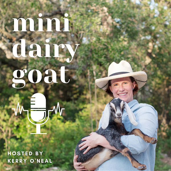 Artwork for Mini Dairy Goat Podcast