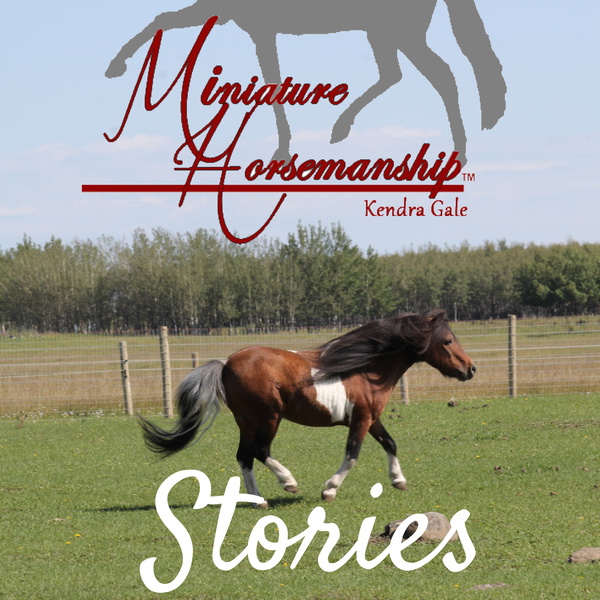 Artwork for Miniature Horsemanship Stories